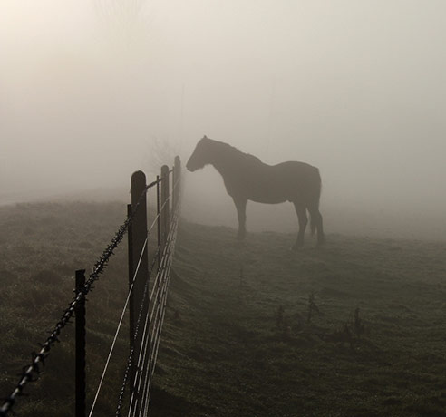 Camera Club: A review of Peet-Astn's portfolio