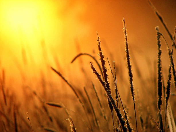 Camera Club: A review of Peet-Astn's portfolio