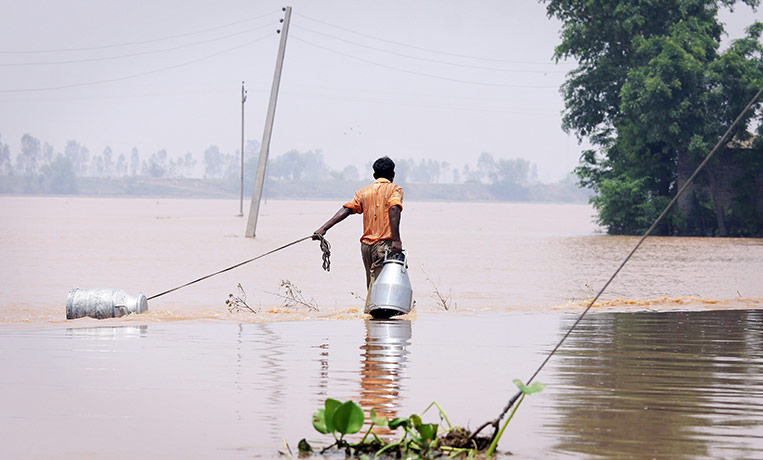 24 Hours: A milkman wades through flood waters near the village Mahtabgarh in Patiala