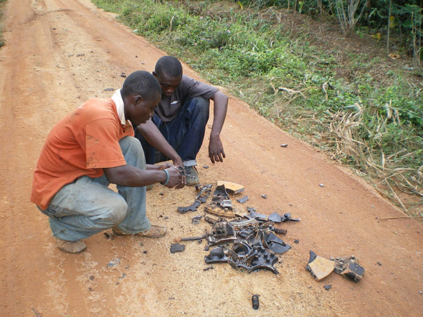 Ghost Forest: installation by Angela Palmer made of stumps from Ghana's rainforest