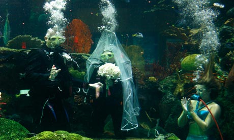 Underwater wedding Anglican churches face stiff competition as couples 