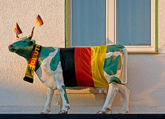 Fans' network: A model cow adorned with German flags