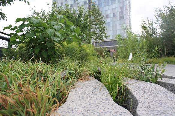 The High Line in New York