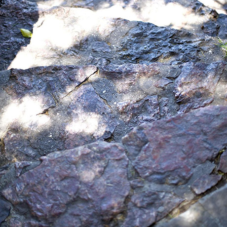 Guardian Camera Club: Rouge Noir participates in the texture photography monthly assignment