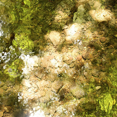 Guardian Camera Club: Rouge Noir participates in the texture photography monthly assignment