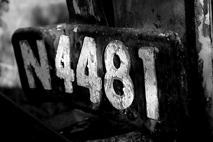 Guardian Camera Club: Andrew Cheal participates in the texture photography monthly assignment