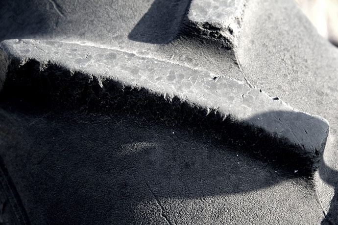 Guardian Camera Club: Andrew Cheal participates in the texture photography monthly assignment