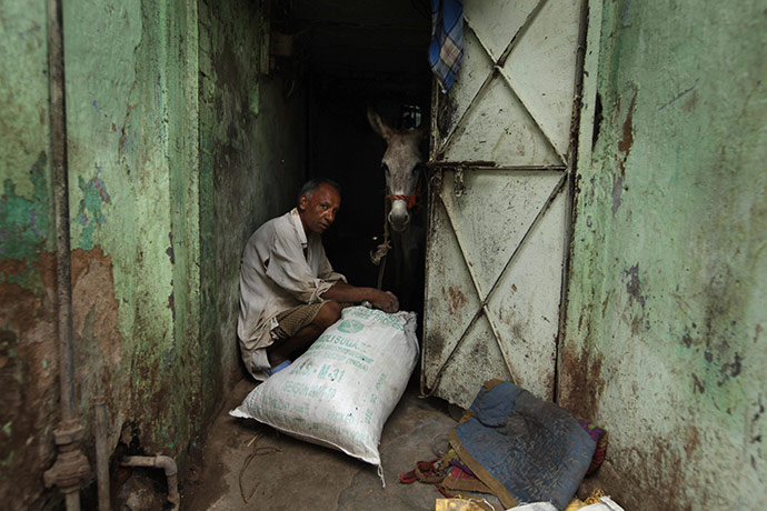 24 hours in pictures: New Delhi, India: A man feeds a donkey