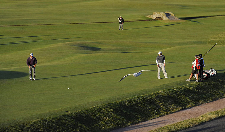 Saturday British Open: A seagull flies by as Westwood and Casey are on the 17th green