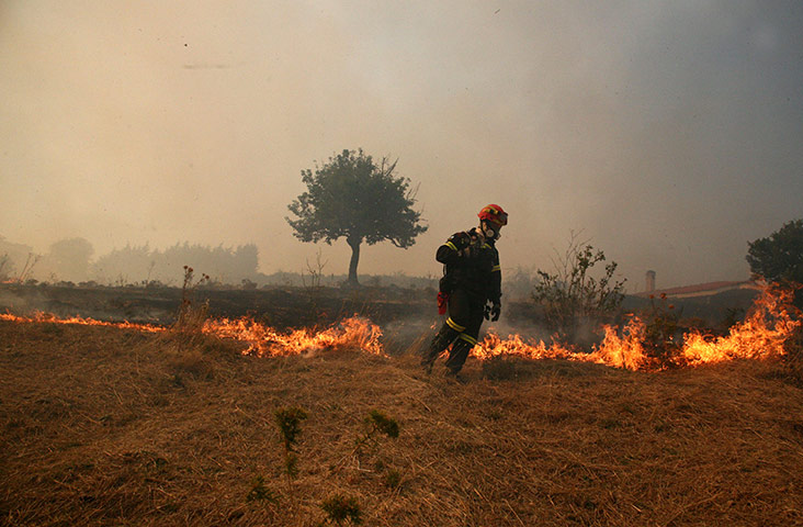 Greece wildfire: A firefigher walks next to a fire in the Mikrochori village