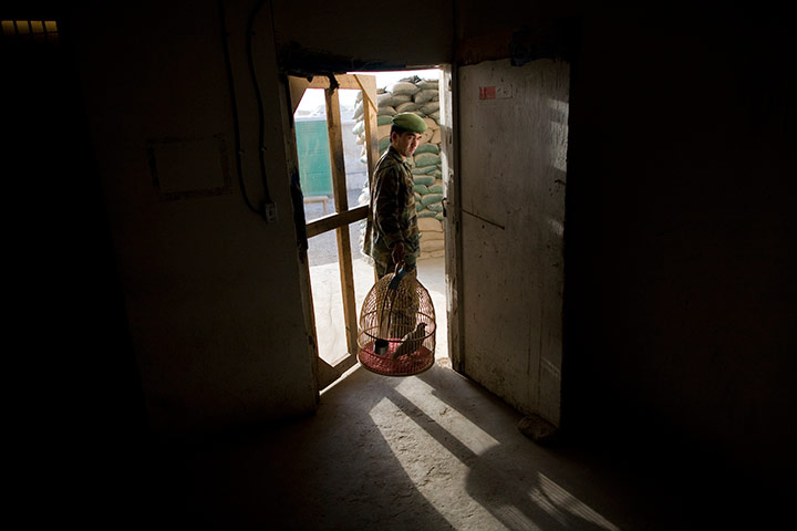 24 hours in pictures: An Afghan National Army soldier carries a bird, Kandahar, Afghanistan
