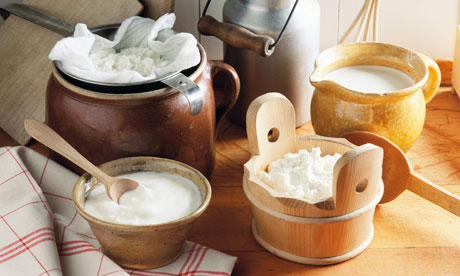 Homemade-dairy-products-006.jpg