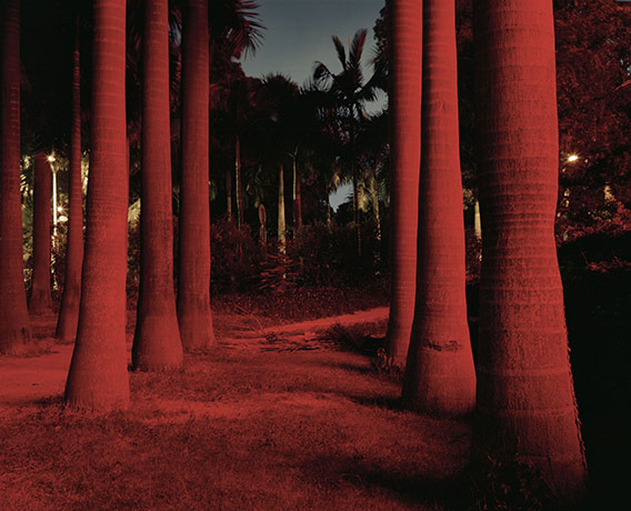 Gallery 03/07: Dinu Li gallery jul 3