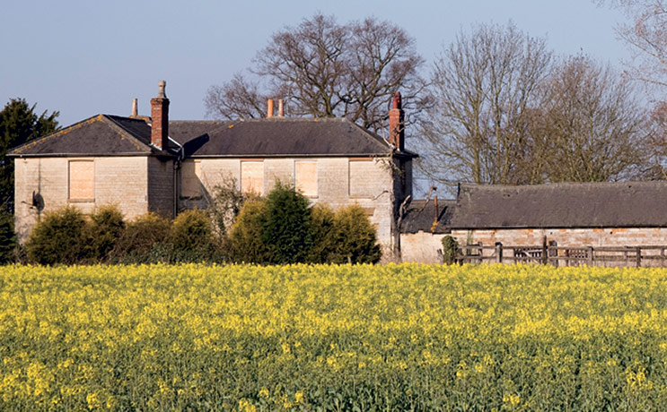 snooping around wreck