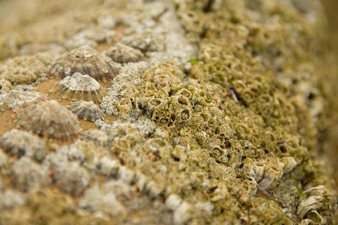 Camera Club: Sally Baitch participates in the texture photography monthly assignment