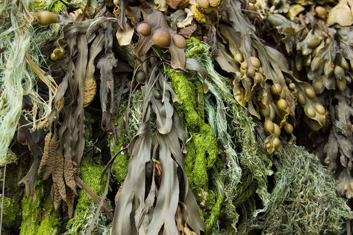 Camera Club: Sally Baitch participates in the texture photography monthly assignment