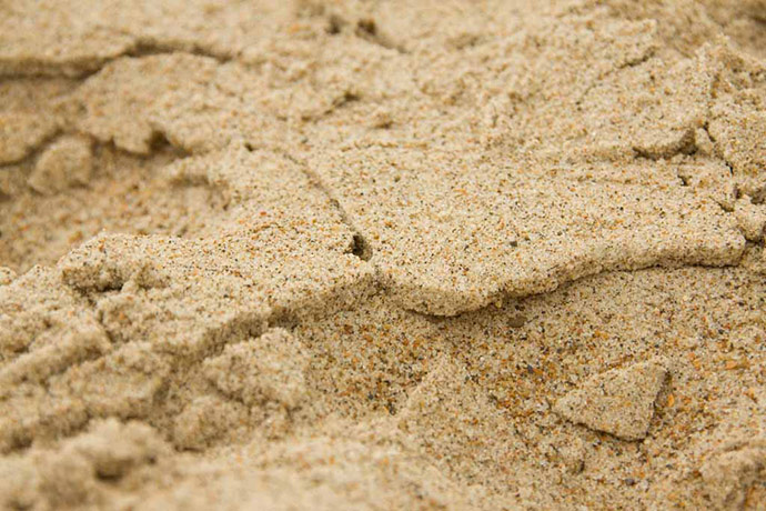 Camera Club: Sally Baitch participates in the texture photography monthly assignment