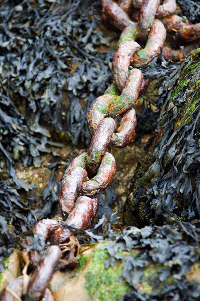 Camera Club: Sally Baitch participates in the texture photography monthly assignment