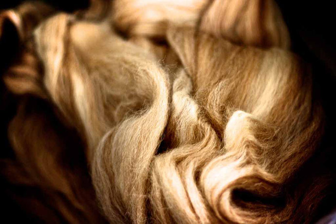 Camera Club: Collette W participates in the texture photography monthly assignment