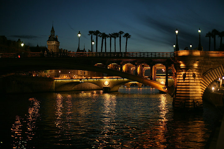 Paris Plage: Palms trees stand above the River Seine in Paris, France