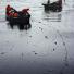Dalian Oil Spill: Chinese firefighters are seen on boats amongst the an oil spill 