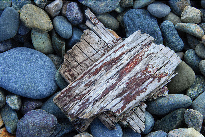 Guardian Camera Club: Jill Henry participates in the texture photography monthly assignment