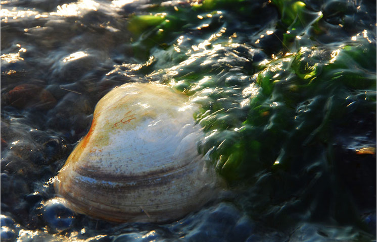 Guardian Camera Club: Jill Henry participates in the texture photography monthly assignment