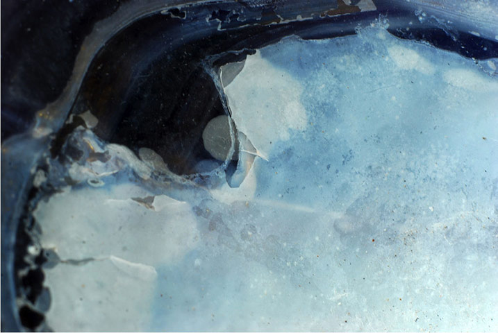 Guardian Camera Club: Jill Henry participates in the texture photography monthly assignment