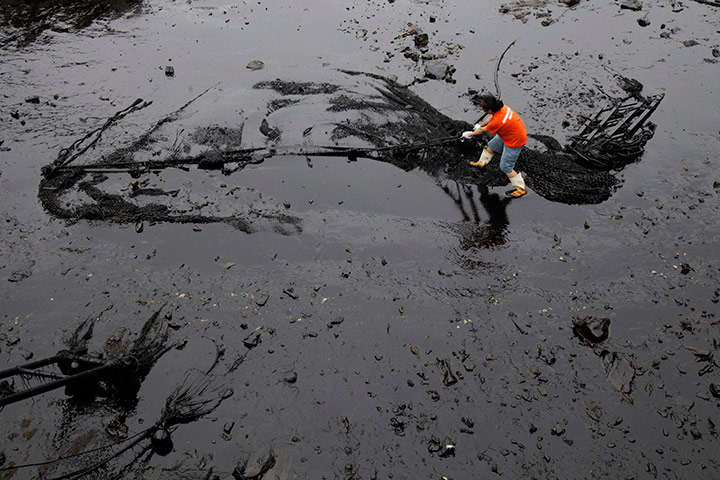 24 hours in pictures: A Greenpeace activist surveys the damage caused by the oil spill at Dalian port, China