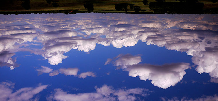 Blipfoto: Blipfoto Richard Sheppard