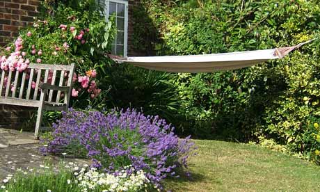 Hammock in a garden