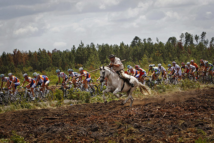 24 hours: A horse and rider gallop alongside the pack during the Tour de France