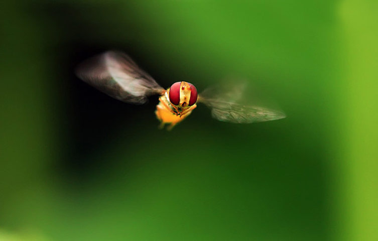 A fool on the hill: Friday 23 July 2010: Look at me... Now don't move