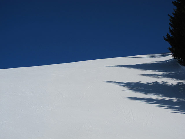 Weekend: Brilliant sun on the slopes of Les Gets in March by Simon Winner