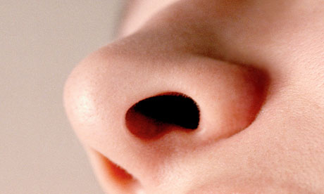 Close-up of a woman's nose 