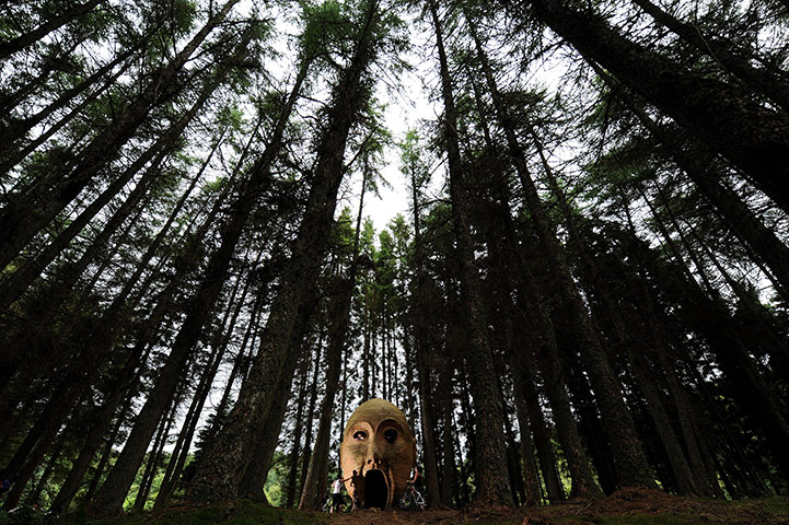 24 hours in pictures: Northumberland, UK: Sculpture Silvas Capitalis