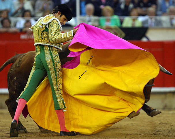 Bullfighting in Barcelona: 2008: Spanish matador Jose Tomas makes a pass