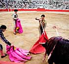 Bullfighting in Plaza Monumental in Barcelona last month