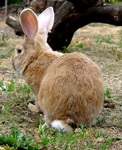 Exhibitionist3107: Jess Flood-Paddock