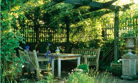 Shade Garden Ideas