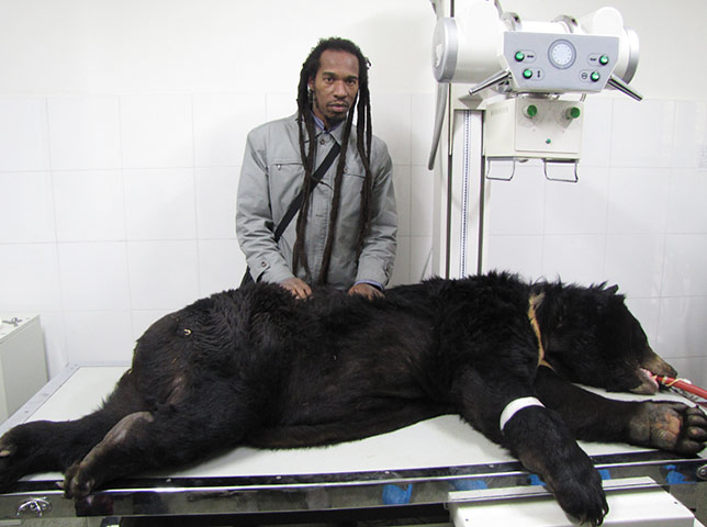 show & tell: Zephaniah: Moon Bear Sanctuary