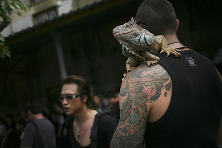 24 hours in pictures: International Tattoo Festival 