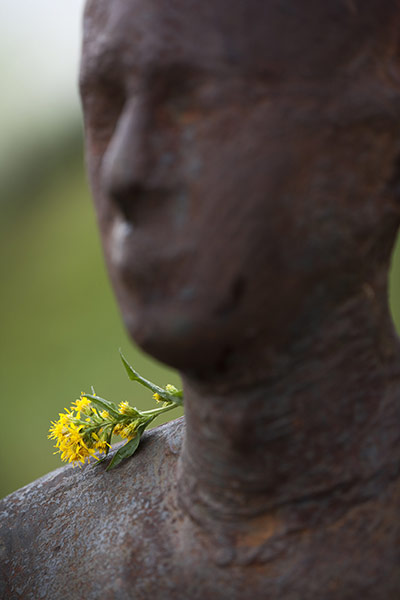 Anthony Gormley: Anthony Gormley's Horizon Field