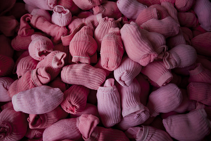 24 hours in pictures: 24 hours in pictures
