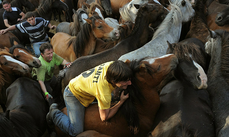 24 hours in pictures: Sabucedo, Spain: Wild horses at the Rapa Das Bestas festival