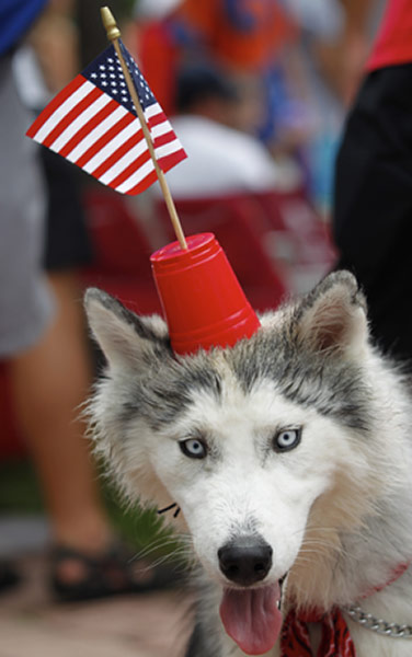 independence day: Independence Day