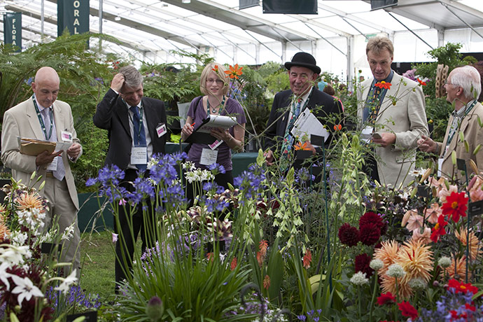Flower Show: Hampton Court Flower Show, Judges judging