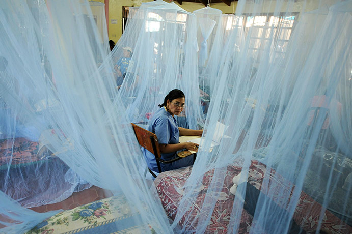 24 hours in pictures: Honduras: A nurse works in a ward for patients affected with dengue fever 