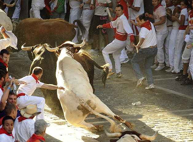 Pamplona bull running:  San Fermin festival 