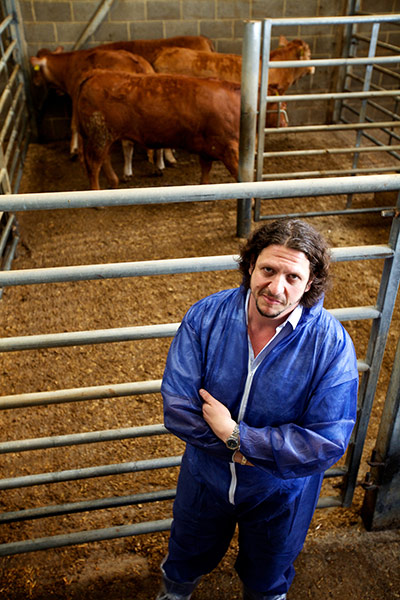 Jay Rayner on On the Hoof: Jay Rayner with the cattle before slaughter at Pennys